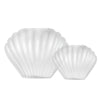 Sea Scallops Misted Glass Vase Set